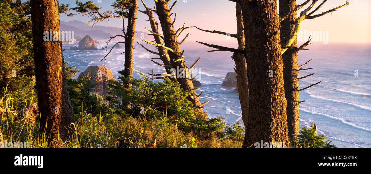 Négliger de Cannon Beach avec Haystack Rock de parc d'état d'Ecola, Oregon Banque D'Images