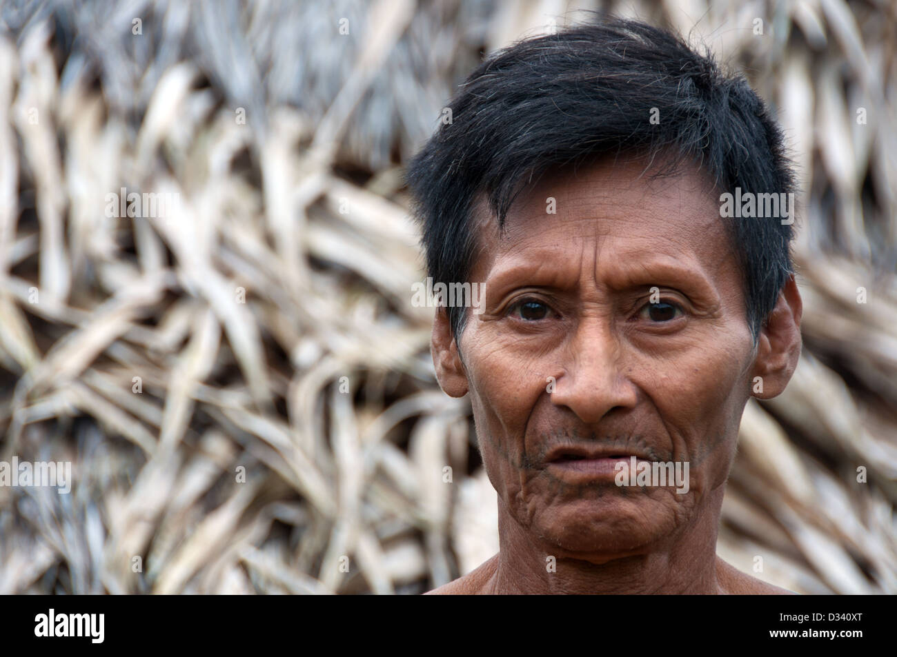 Un homme âgé avec Matses Mayorunas tattoo tatouages traditionnels en face d'une maloca (maison traditionnelle), l'Amazonie péruvienne Banque D'Images