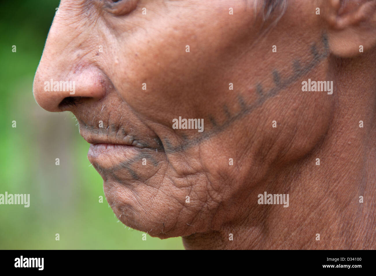 Visage traditionnel tatouage d'un Matses Mayorunas personnes âgées, l'Amazonie péruvienne Banque D'Images