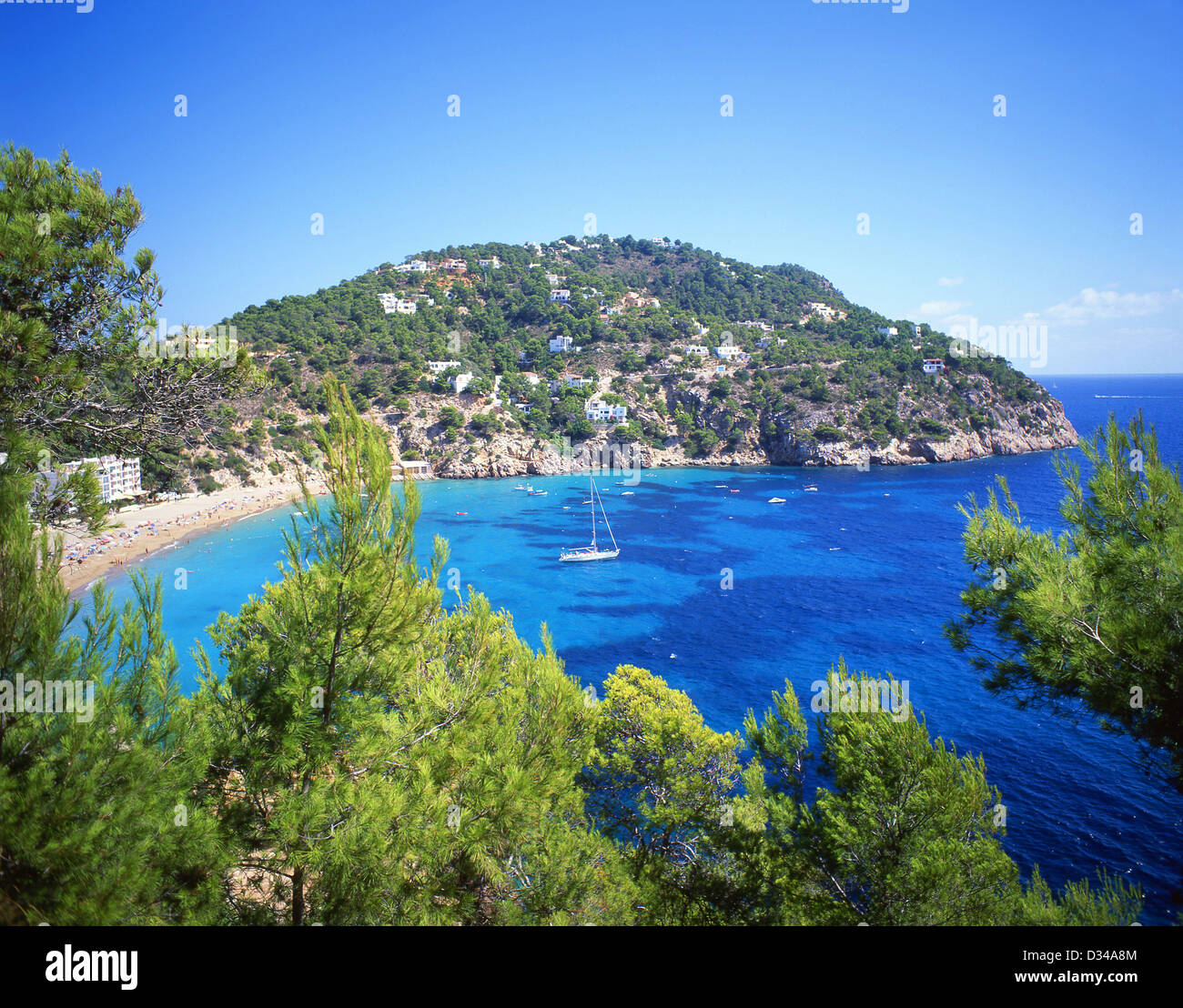 Vue côtière, Cala San Vincente, Ibiza, Baléares, Espagne Banque D'Images