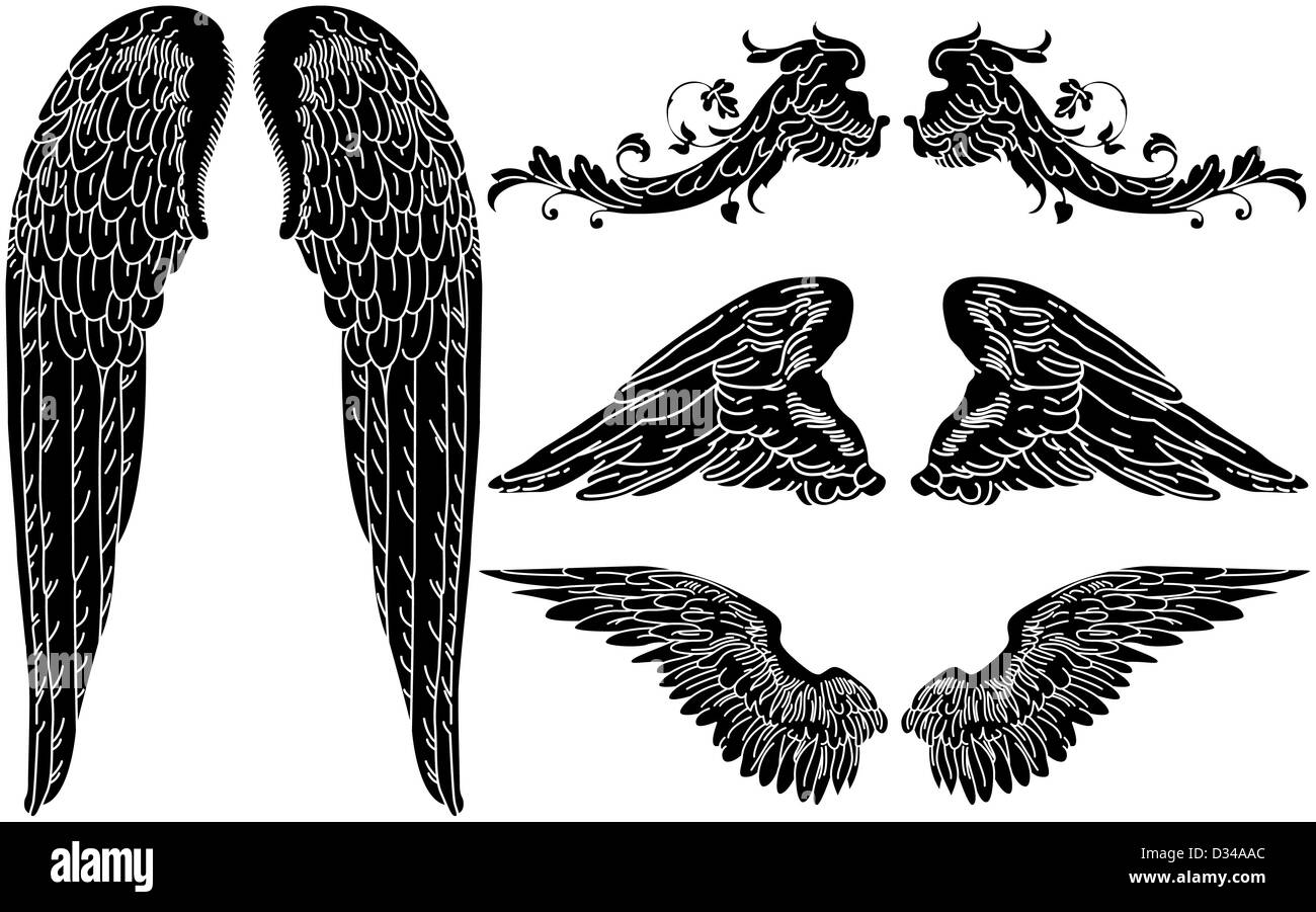 Quatre jeux de données détaillées d'ailes d'Ange Banque D'Images