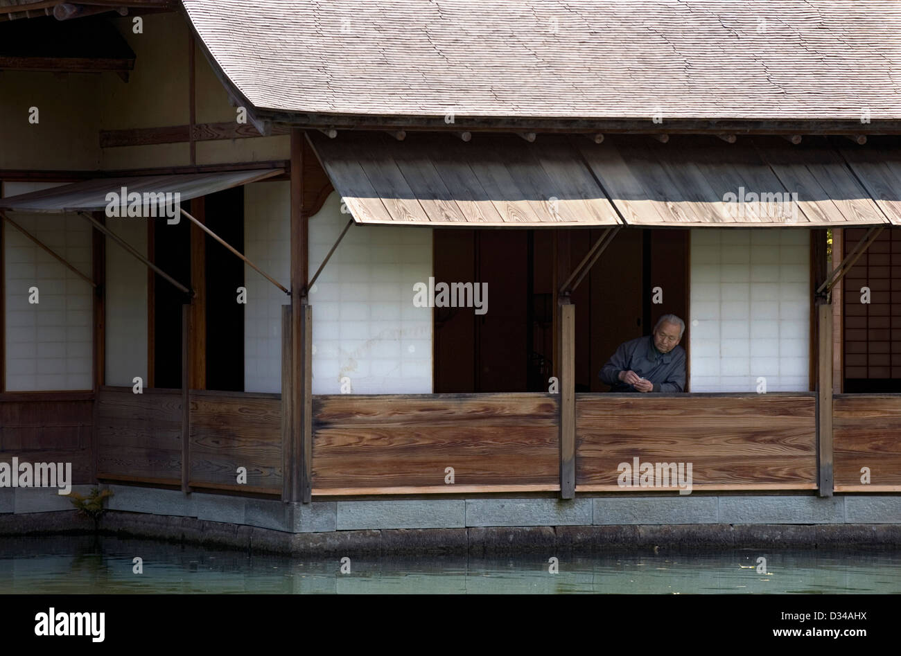Un homme âgé les poissons d'alimentation à partir d'une fenêtre à Yokokan Garden Pavilion à Fukui City, Japon. Banque D'Images