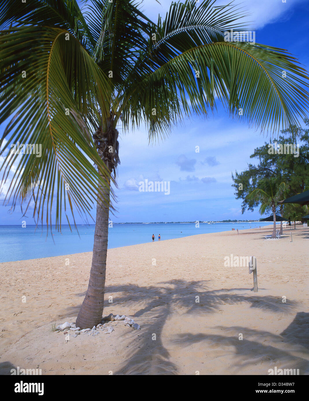 Seven Mile Beach, West Bay, Grand Cayman, îles Caïmans, Antilles, Caraïbes Banque D'Images