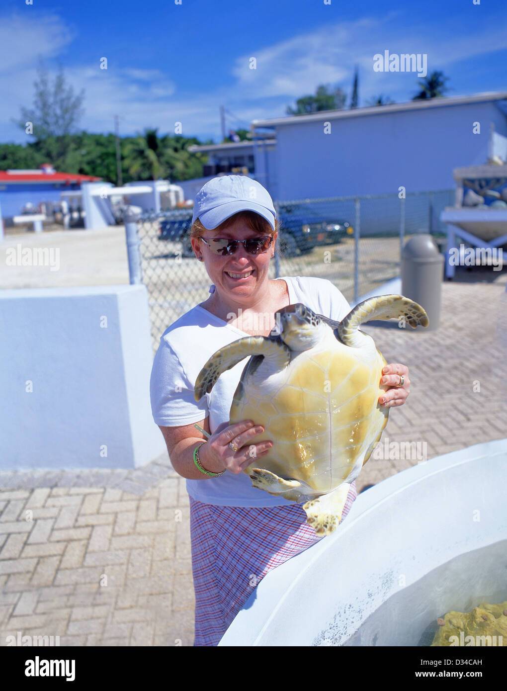 Femme tenant une tortue de mer verte à Cayman Turtle Farm, West Bay, les îles Caïmans, Antilles, Caraïbes Banque D'Images