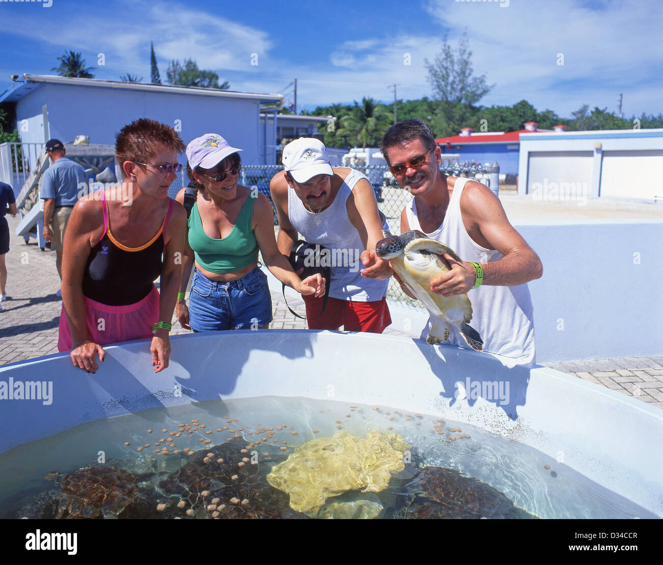 Groupe holding une tortue de mer verte à Cayman Turtle Farm, West Bay, les îles Caïmans, Antilles, Caraïbes Banque D'Images
