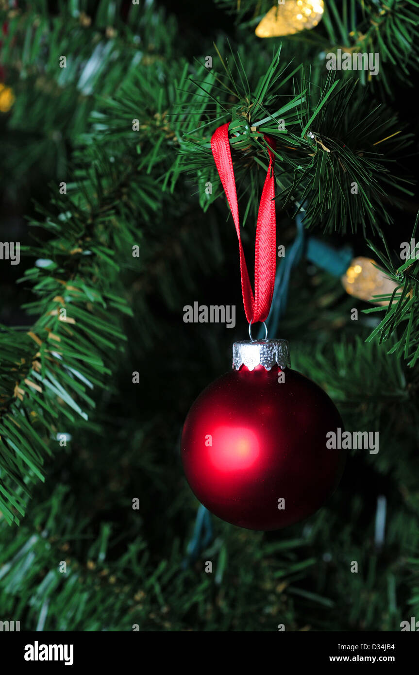 Matte red christmas ornament hanging on tree avec des lumières Banque D'Images