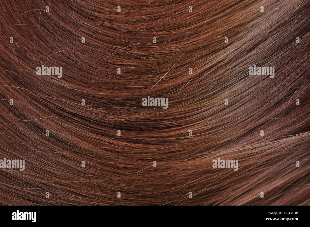 Belle texture des cheveux brillants sains closeup Banque D'Images
