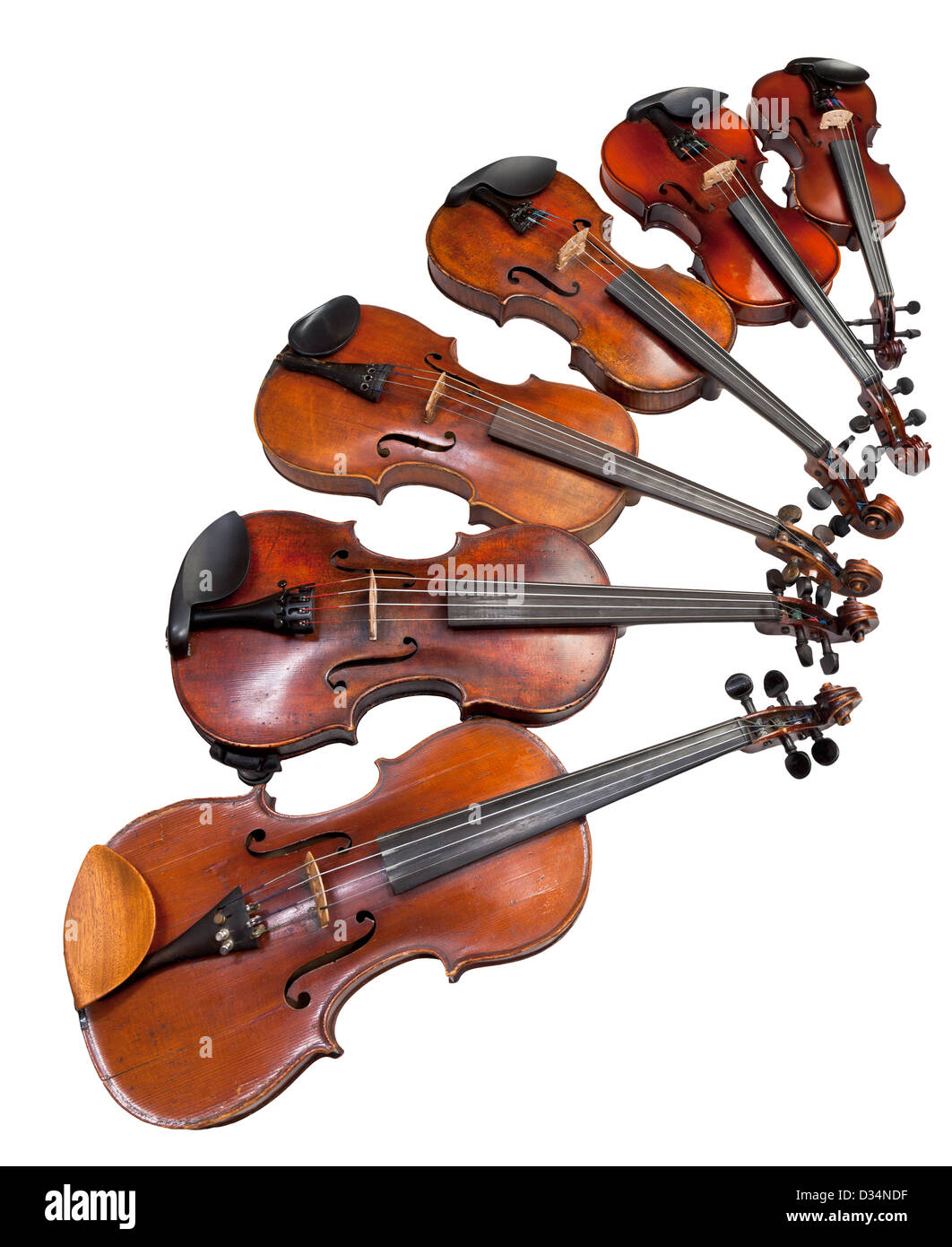 Six tailles de violons isolé sur fond blanc Banque D'Images