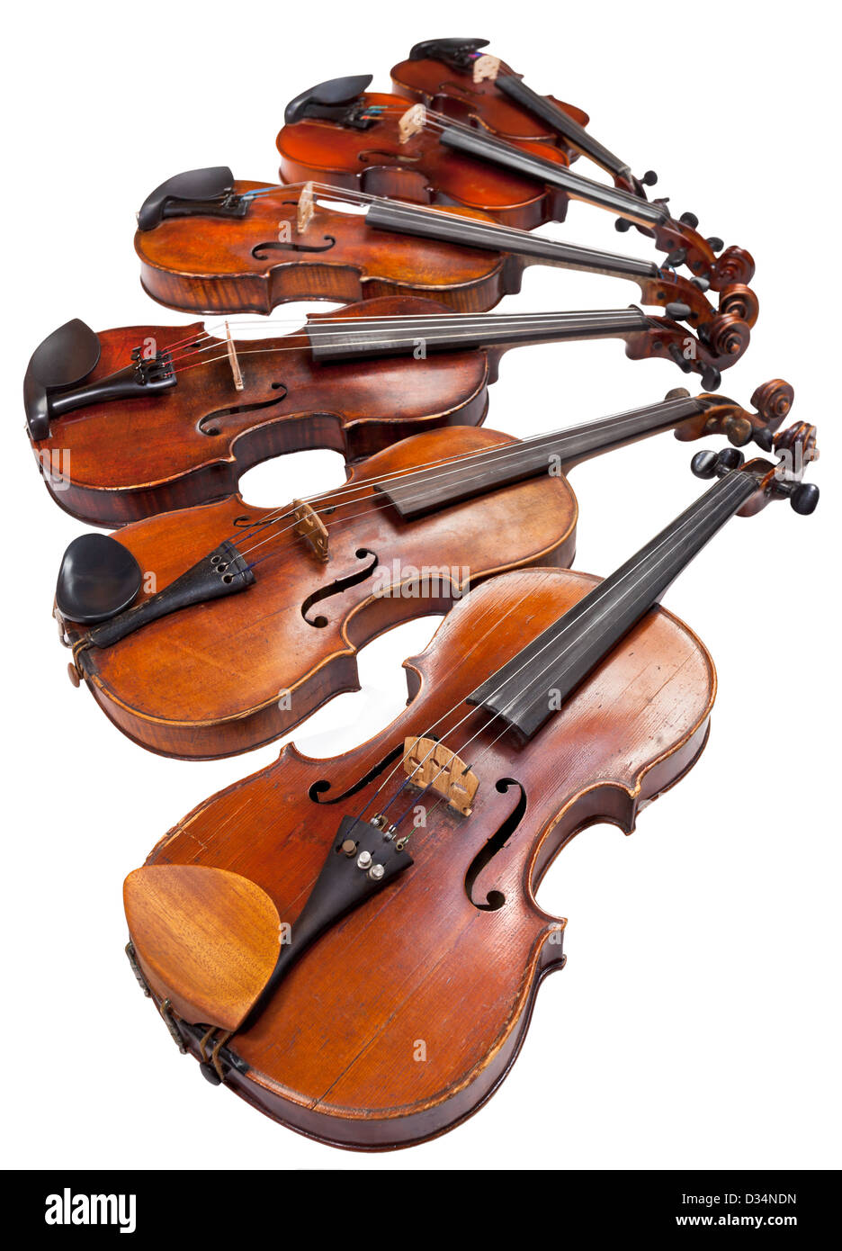 Différentes tailles de violons isolé sur fond blanc close up Banque D'Images