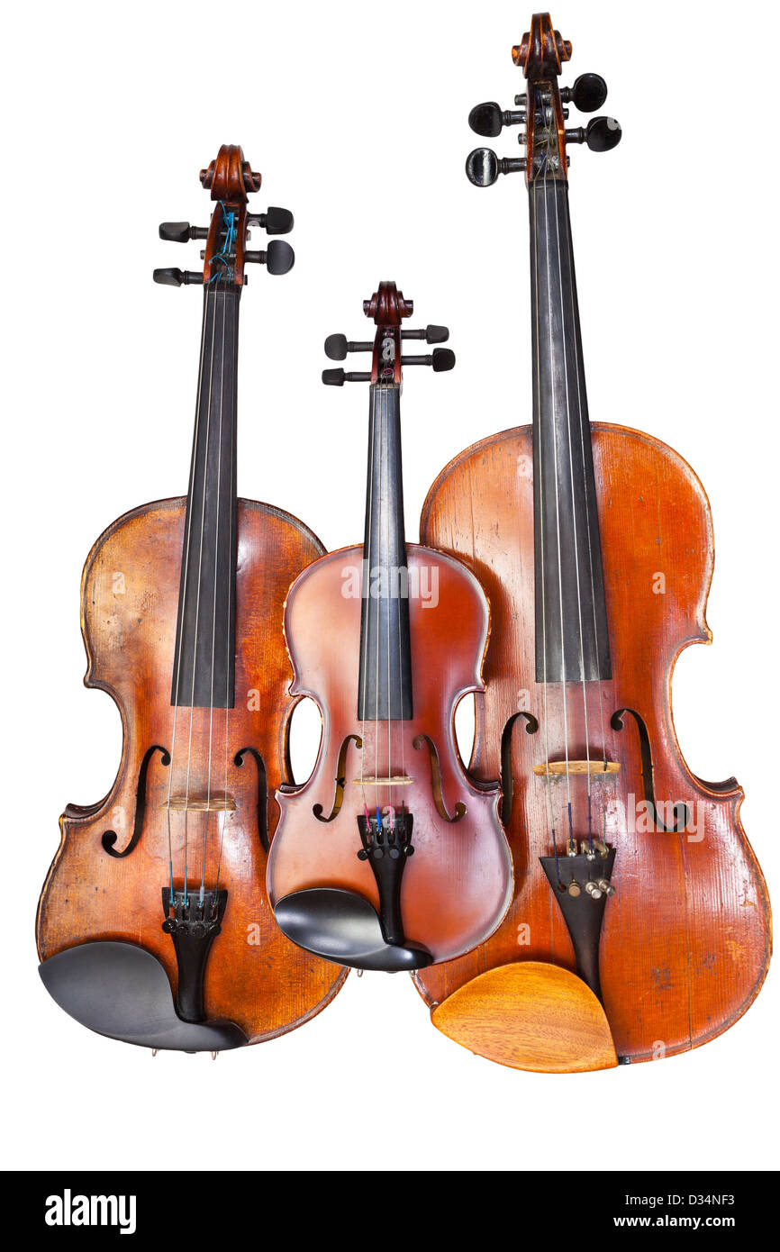 Famille des violons isolé sur fond blanc close up Banque D'Images