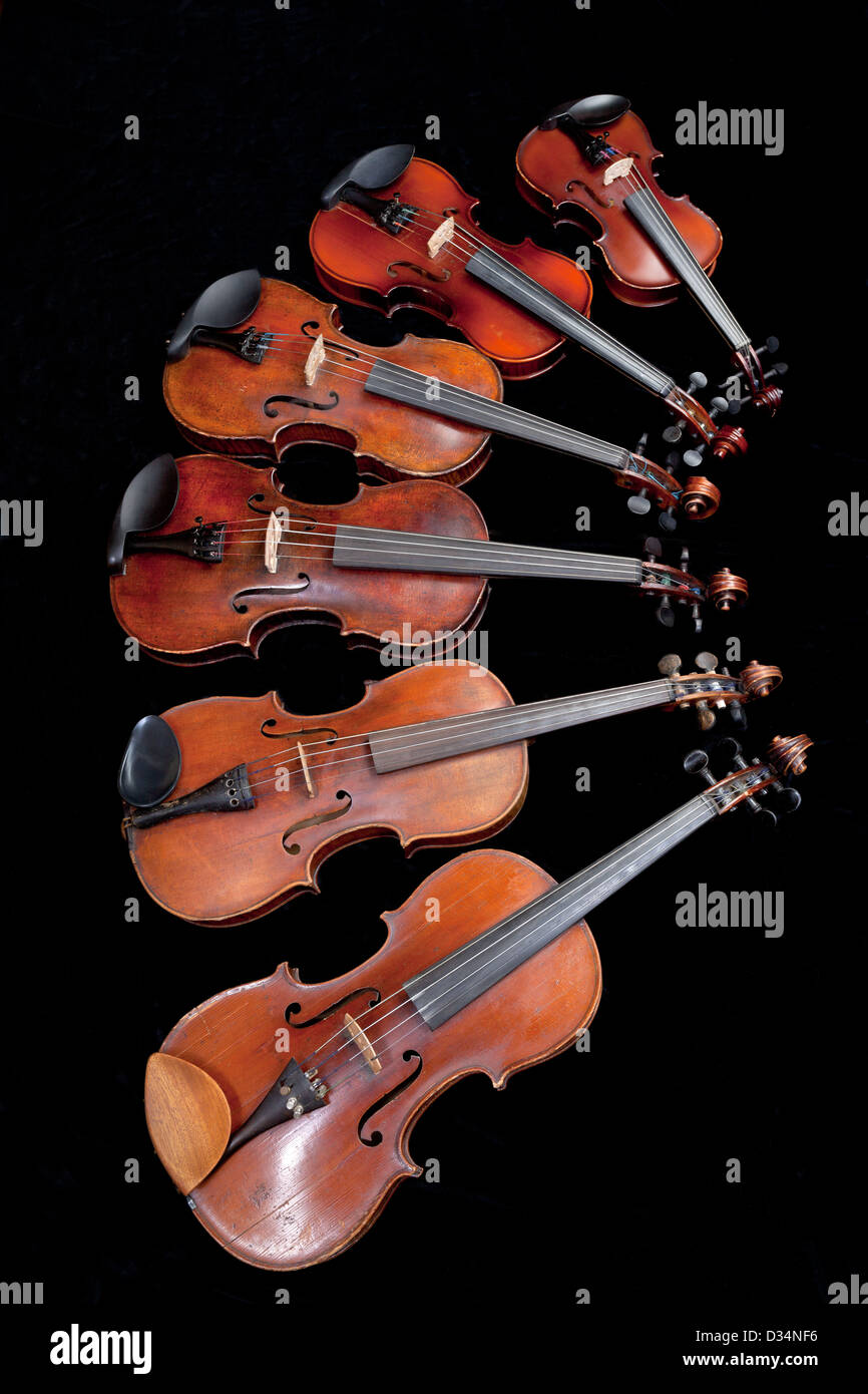 Différentes tailles de violons sur fond noir Banque D'Images