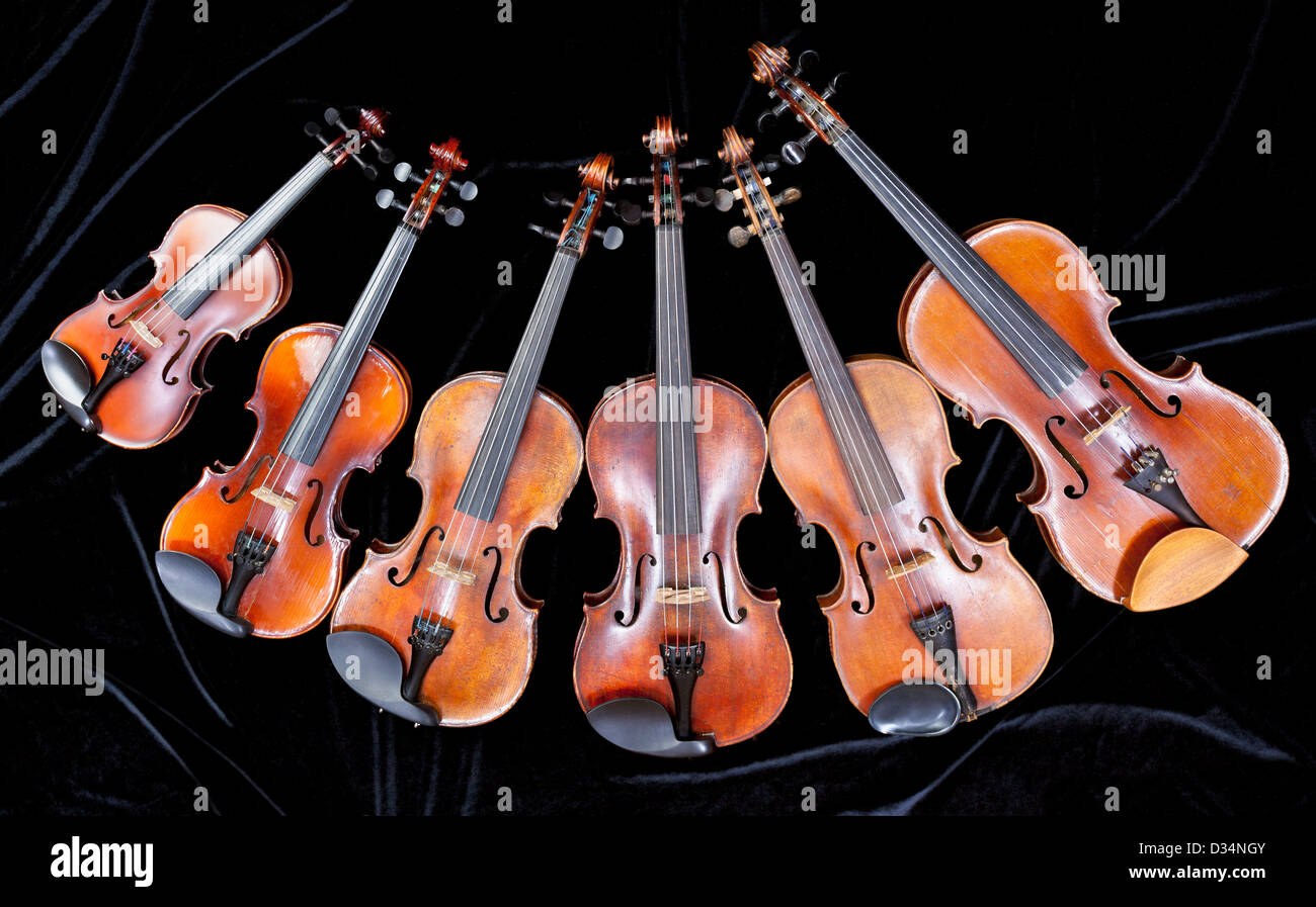 Famille de différentes tailles de violons sur velours noir Banque D'Images