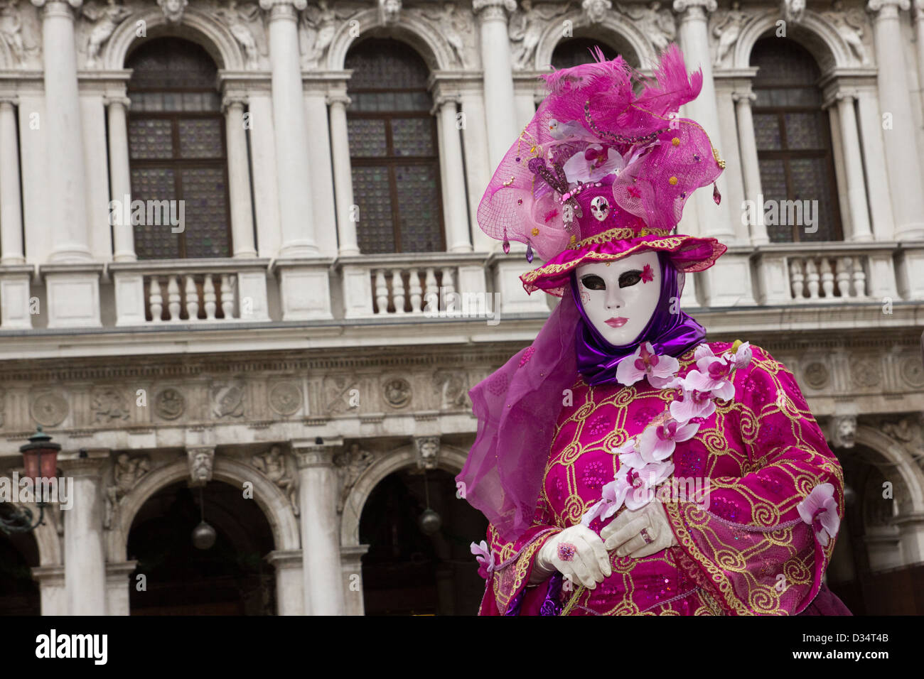 Carnaval de Venise 2013 Banque D'Images