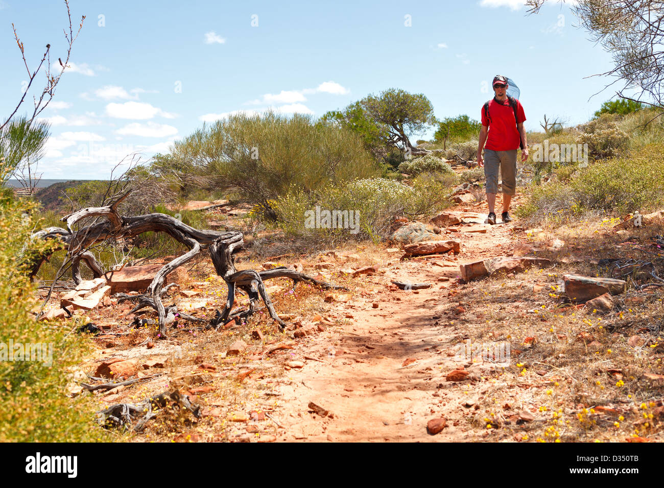 Homme à voler sur le visage net australienne randonnée à pied boucle outbackon, parc national de Kalbarri, Australie occidentale Banque D'Images