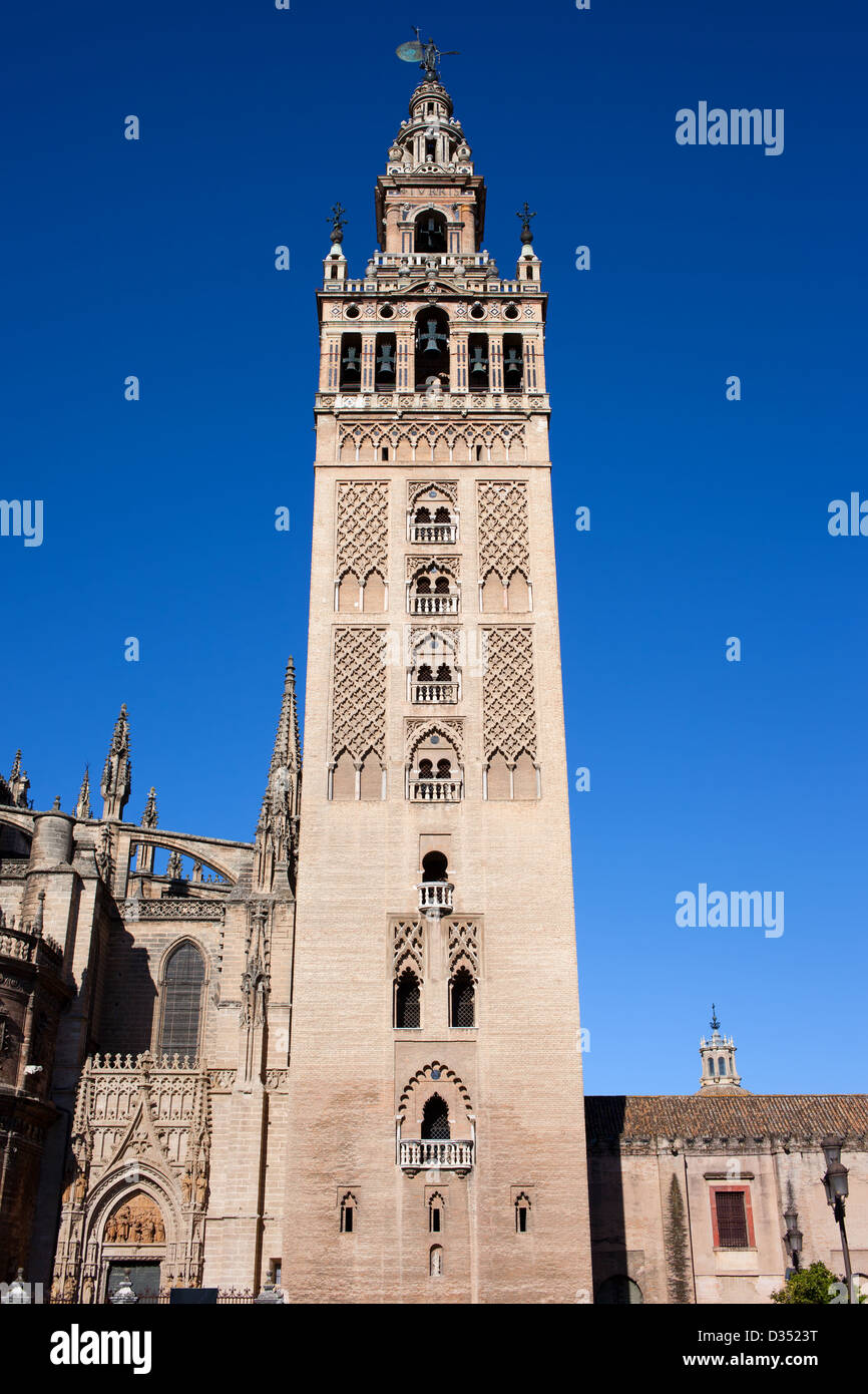 La Giralda, le clocher de l la cathédrale de Séville en Espagne, et almohade styles architecturaux de la renaissance. Banque D'Images