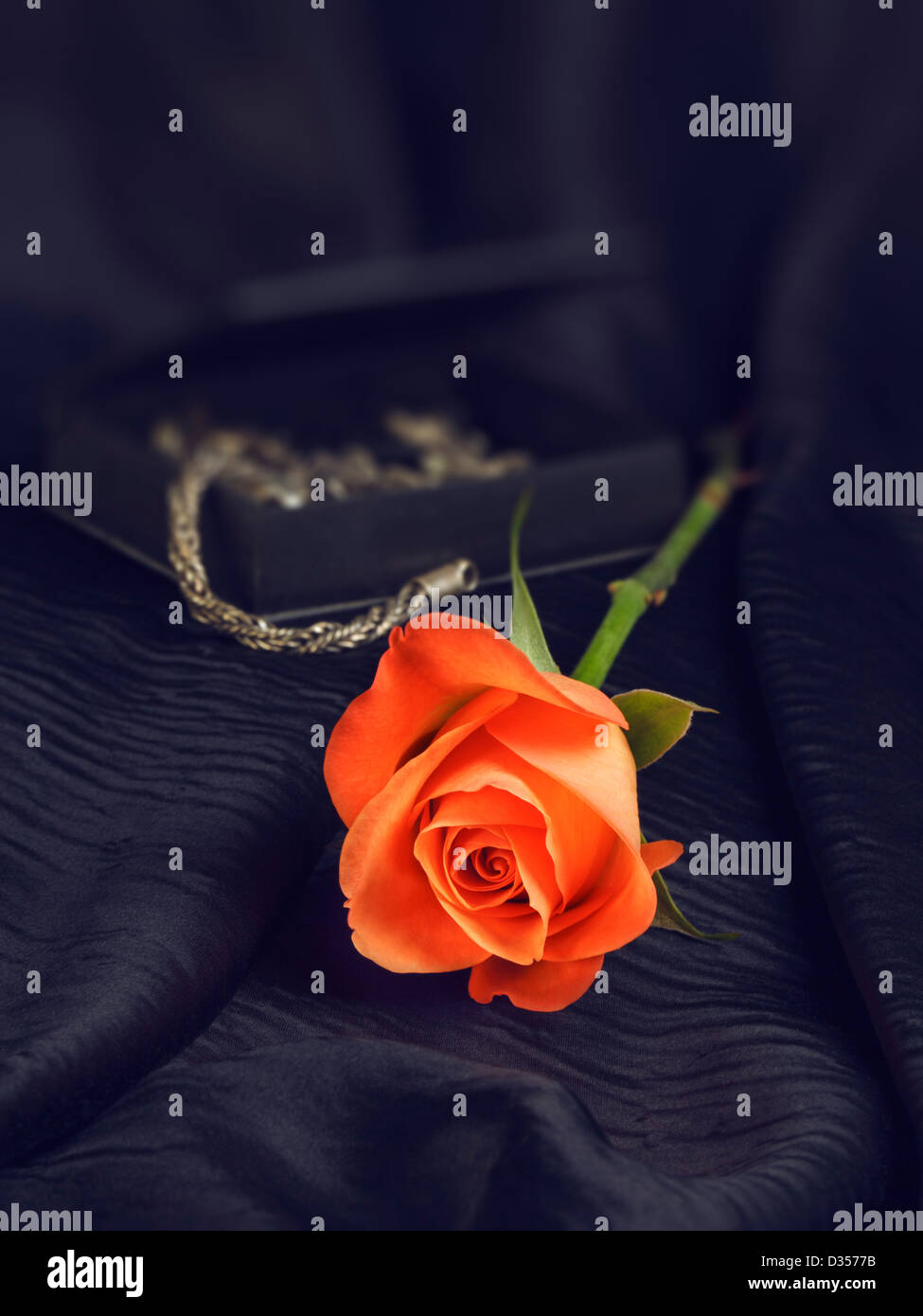 L'un rose sur la soie noire et boîte de bijoux Banque D'Images