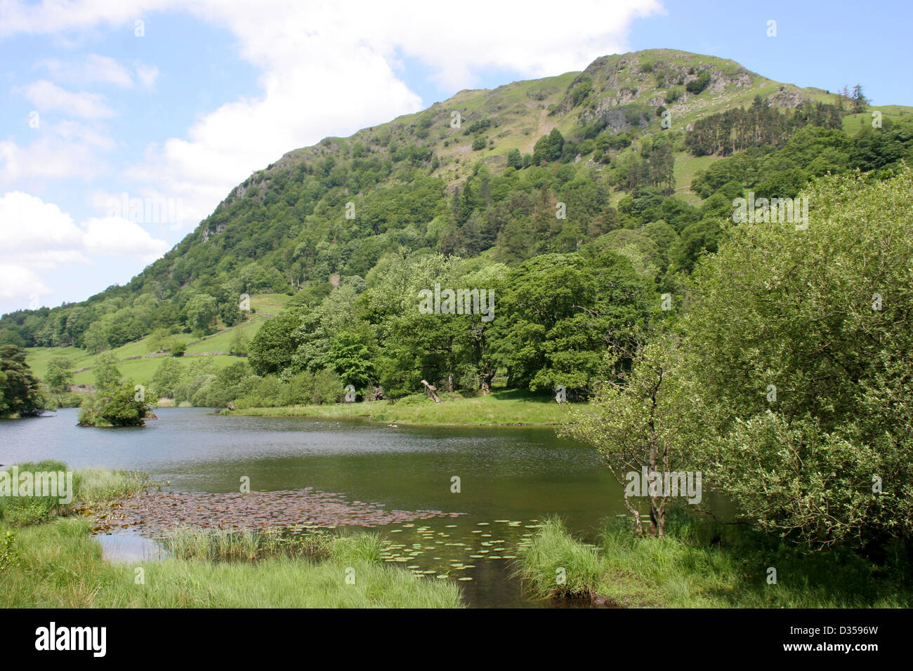 Rydal Water avec cicatrice Nab Rydal Cumbria England UK Banque D'Images