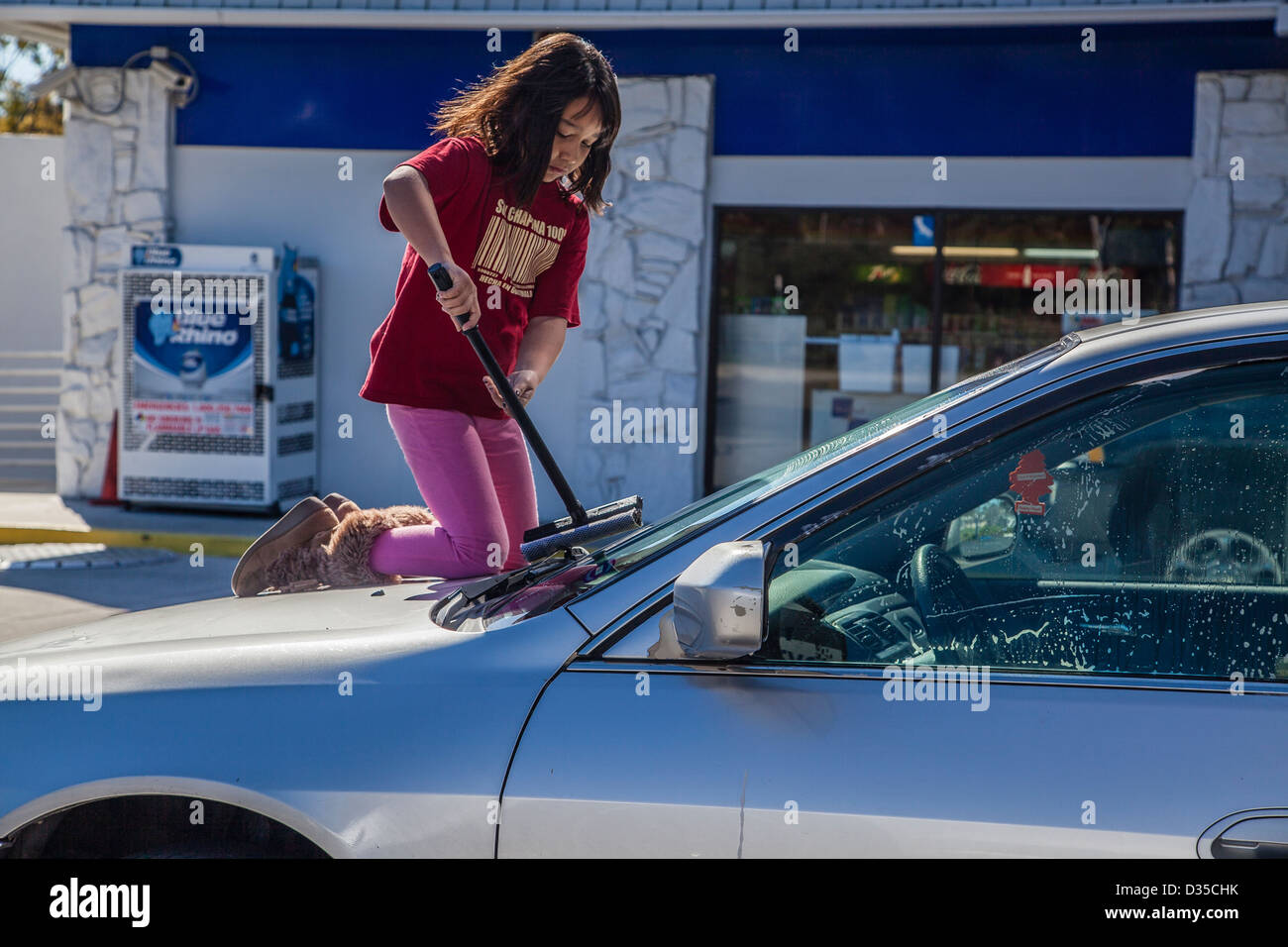 Une vieille de 8 à 10 ans fille hispanique s'agenouille sur le capot de la voiture de sa mère et lave le pare-brise avec une raclette. Banque D'Images