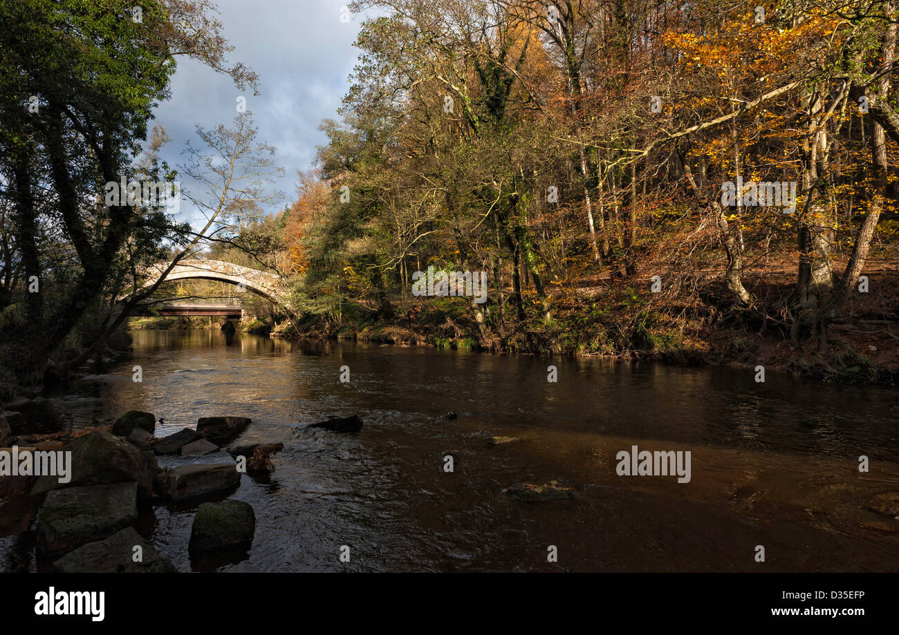 Beggar's Bridge, pont à cheval du 17ème siècle ancienne, North York Moors, of Glaisdale, Yorkshire, UK. La rivière Esk sous flux. Banque D'Images