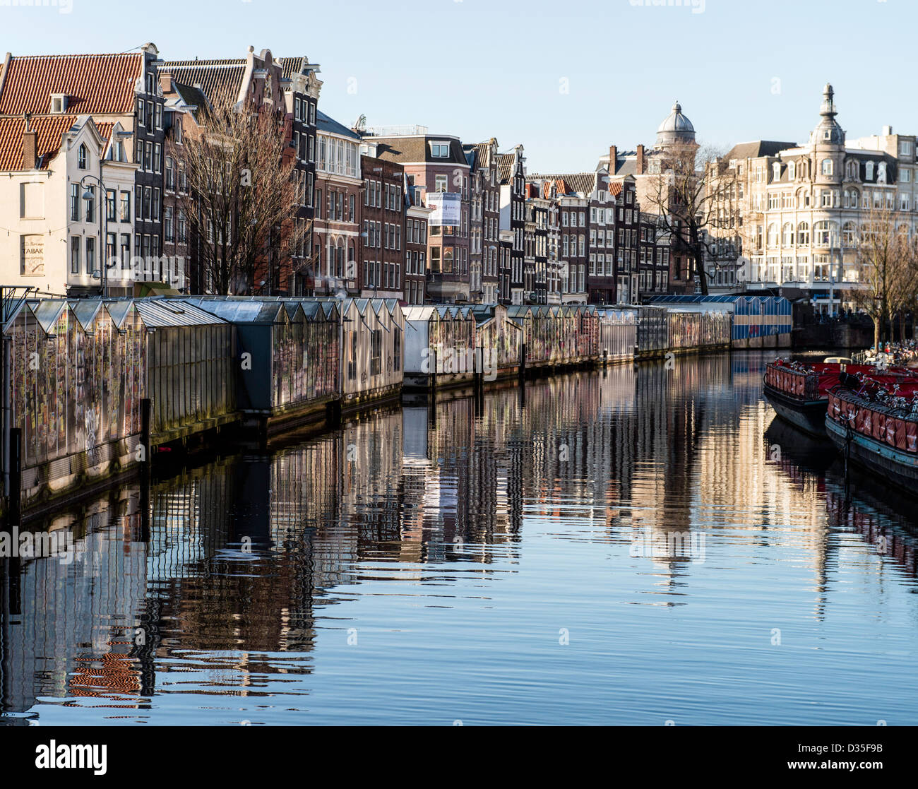 Marché aux Fleurs Amsterdam Pays-Bas Banque D'Images