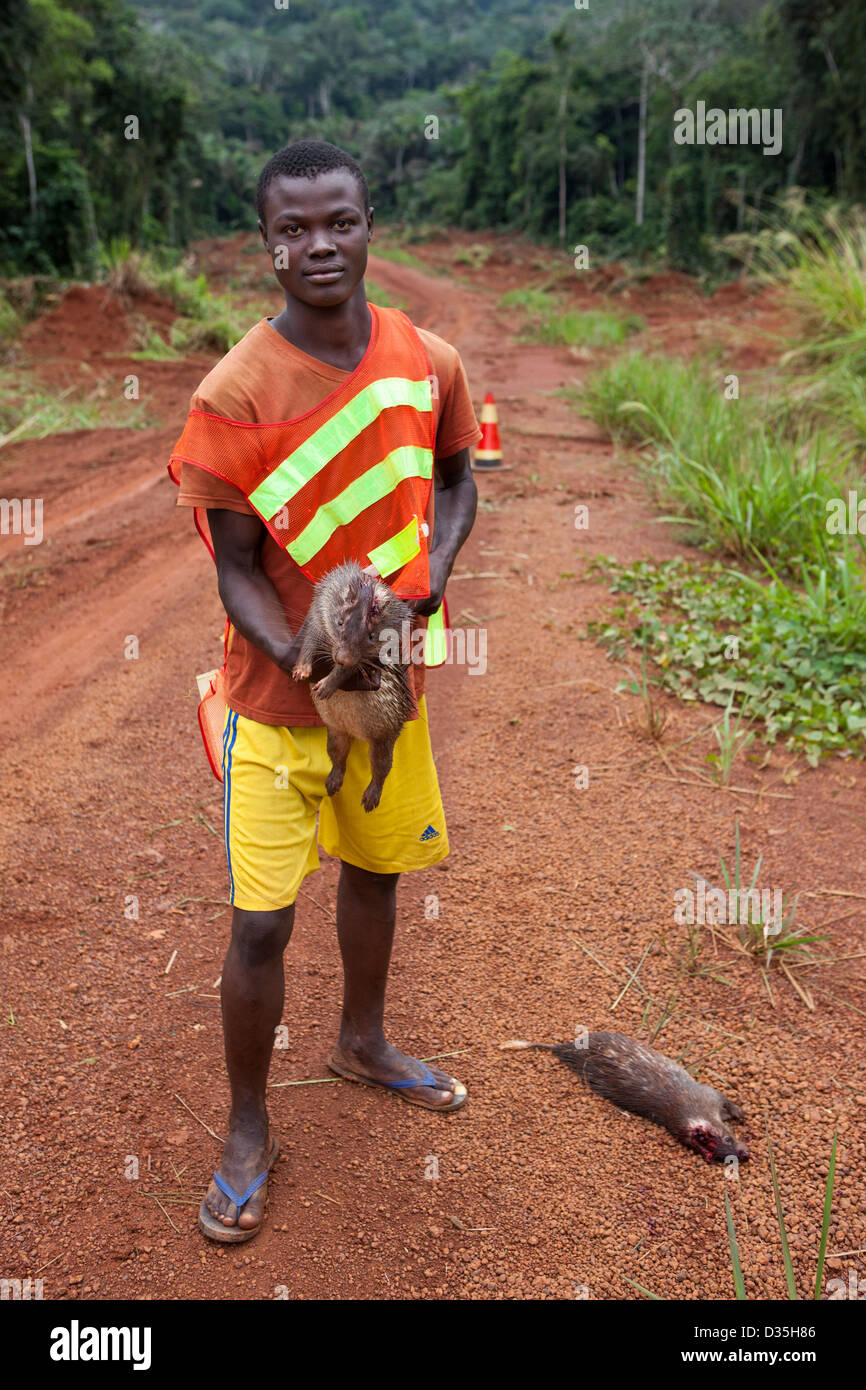 CONGO, le 27 septembre 2012 : un manoeuvre pour la construction d'une nouvelle grande Sinohydro route bitumée à travers la forêt vierge avec deux animaux il a juste tué pour la viande de brousse. Banque D'Images