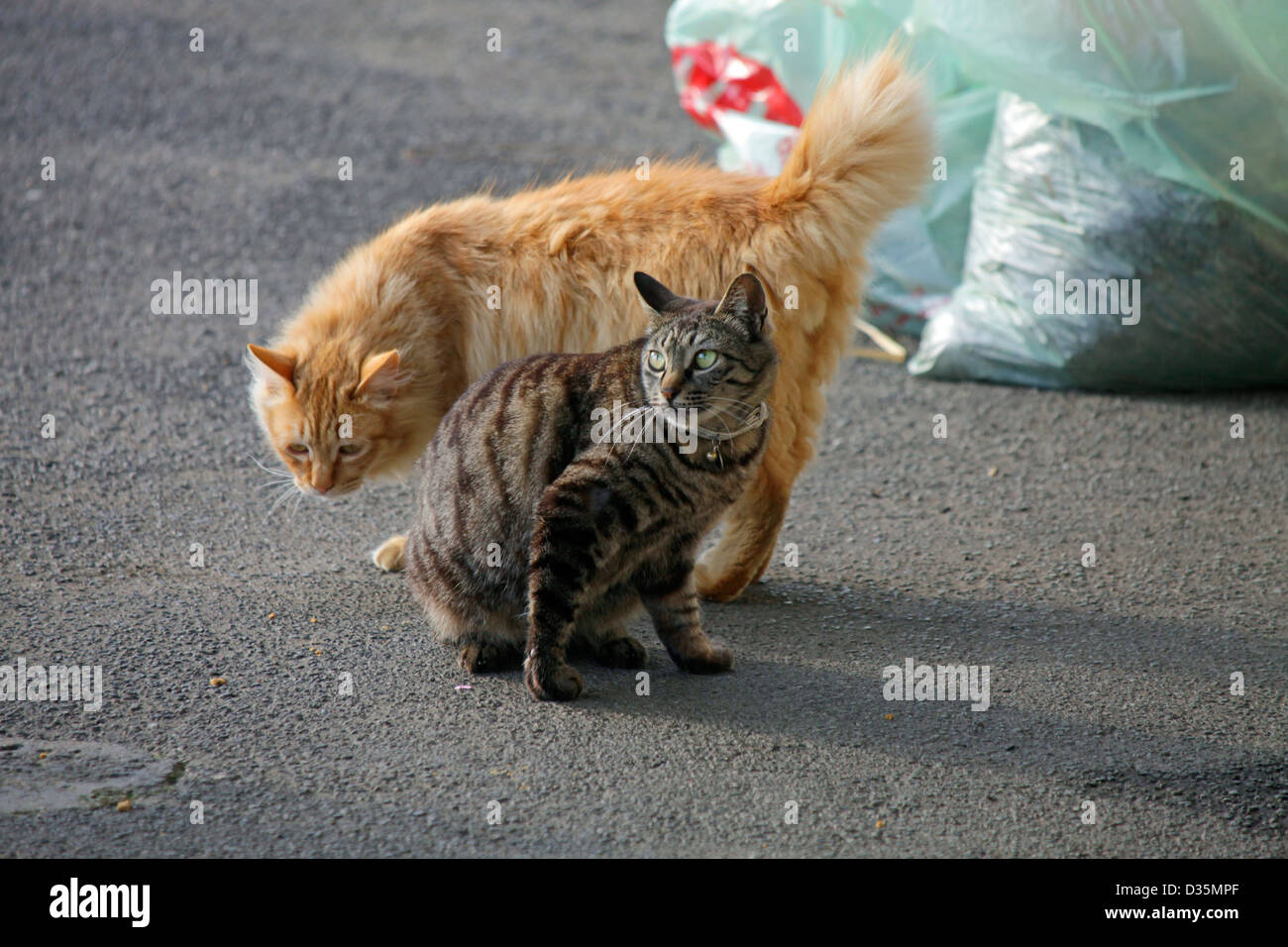 Ligne kominato Banque de photographies et d’images à haute résolution