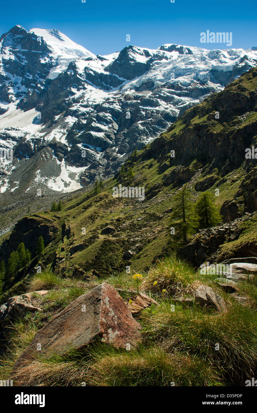 Vue paysage de Gran Paradiso National Park, Graian Alps - Italie Banque D'Images