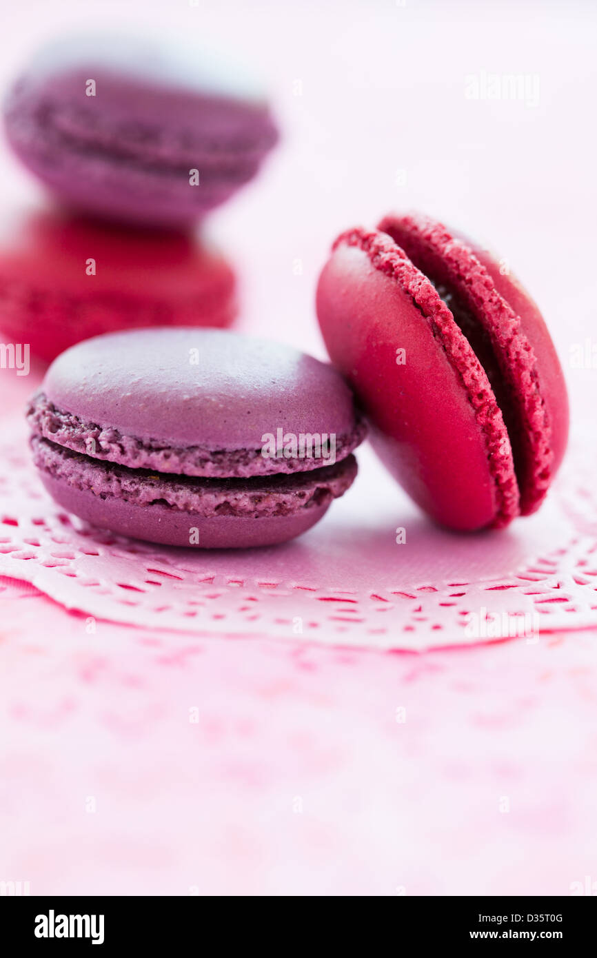 Libre de macarons sucrés sur le tapis rose Banque D'Images