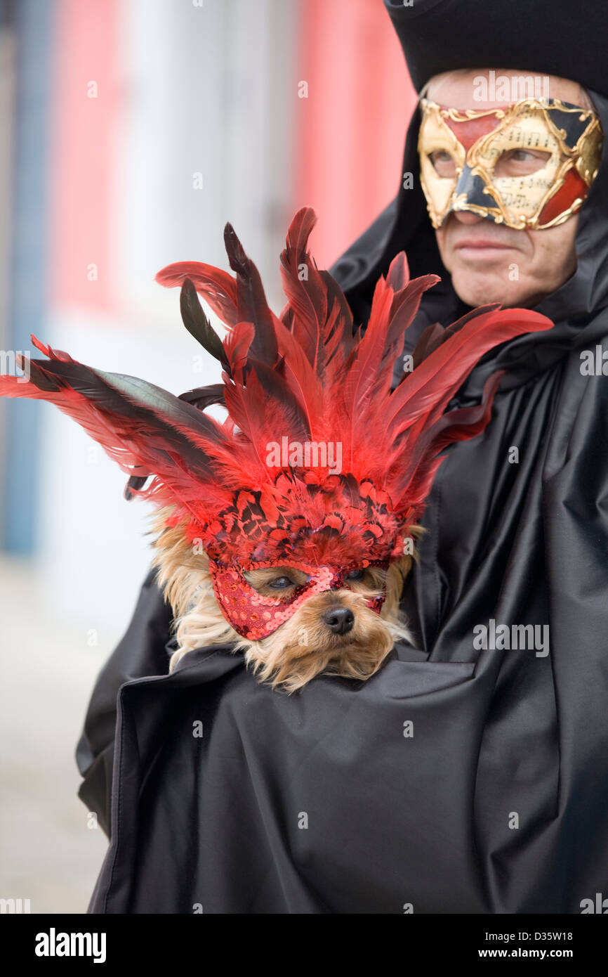 Dans un homme portant un masque vénitien Yorkshire Terrier chien dans un masque pour le carnaval de Venise Banque D'Images
