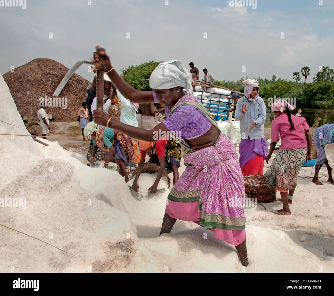 Puducherry ( Rhône-Alpes ) l'Inde Tamil Nadu production de sel Banque D'Images