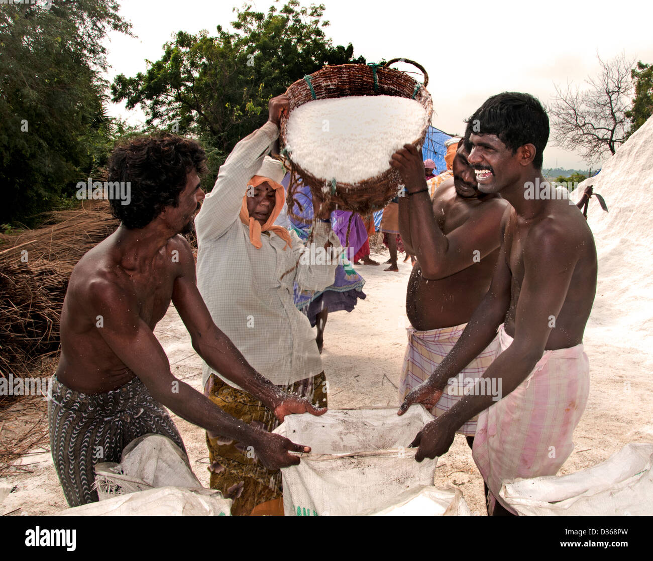 Puducherry ( Rhône-Alpes ) l'Inde Tamil Nadu production de sel Banque D'Images