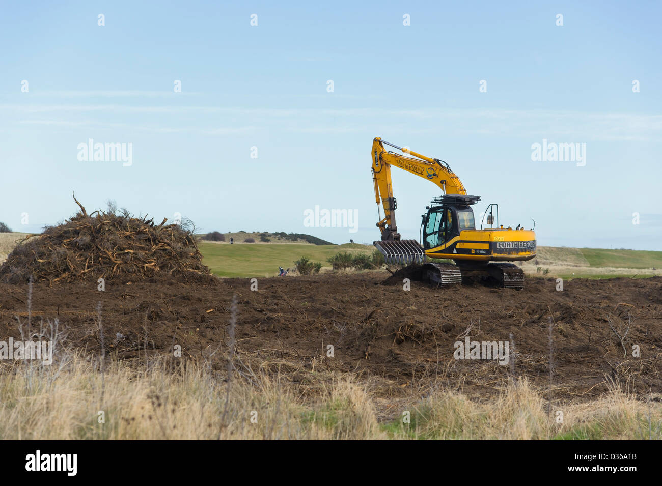 Un excavateur déterrent les arbustes d'argousier envahissantes à l'Aberlady Bay Nature Reserve en Ecosse. Banque D'Images
