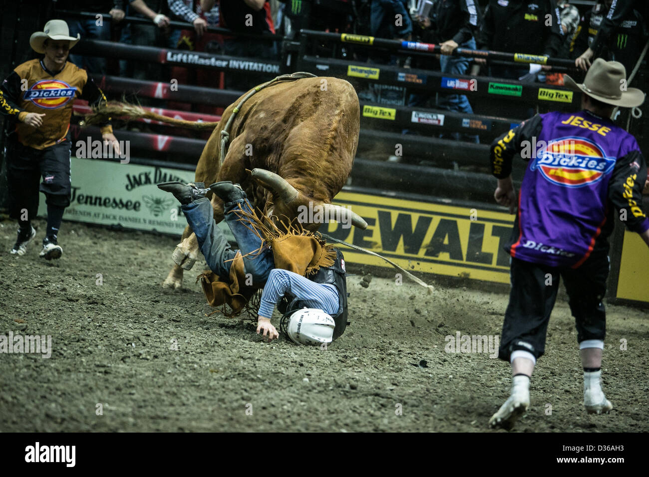 08.02.2013. Anaheim, États-Unis, Califonria. Billy Robinson (Galax, Virginie) équitation bull Fer chaud au cours de la Professional Bull Riders, sur invitation de Liftmaster au Honda Center d'Anaheim, CA. Plus d'Action Sports / Alamy Banque D'Images