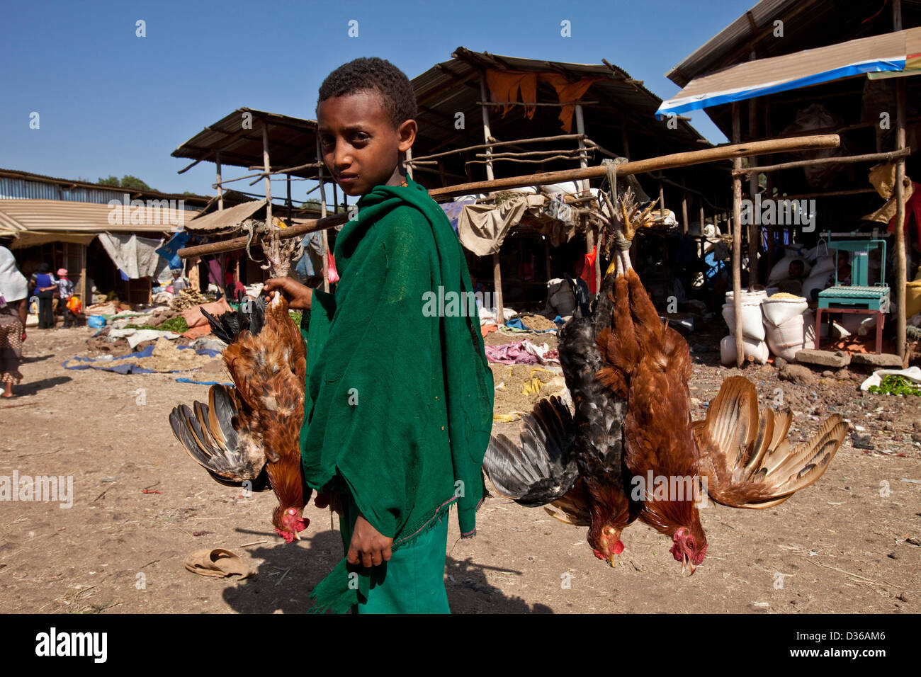 La vente de poulets, le garçon Saturday Market, Bahir Dar, Ethiopie Banque D'Images