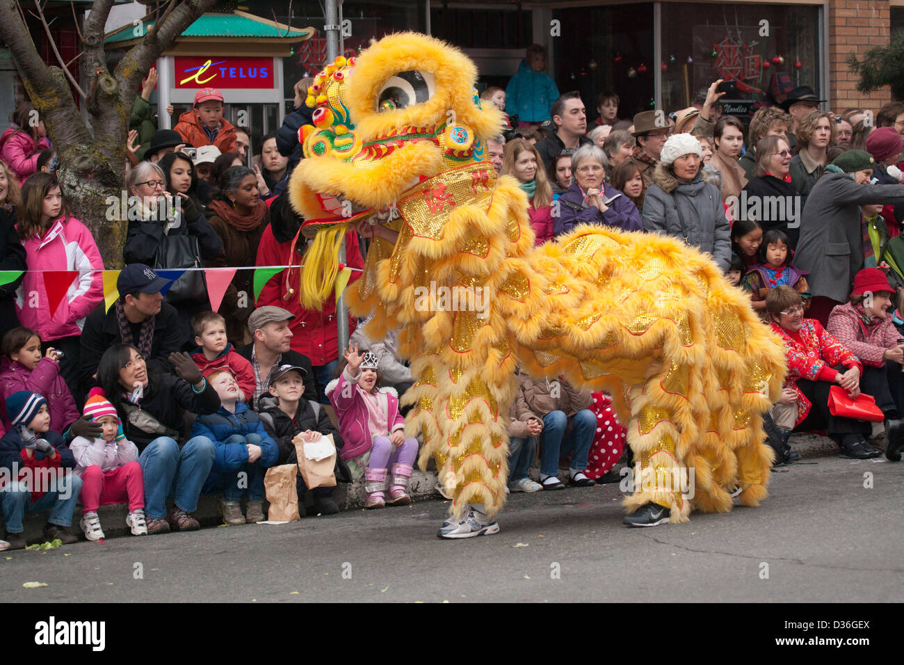 Danse du lion pendant les célébrations du Nouvel An chinois pour l'année de l'Snake-Victoria, British Columbia, Canada. Banque D'Images