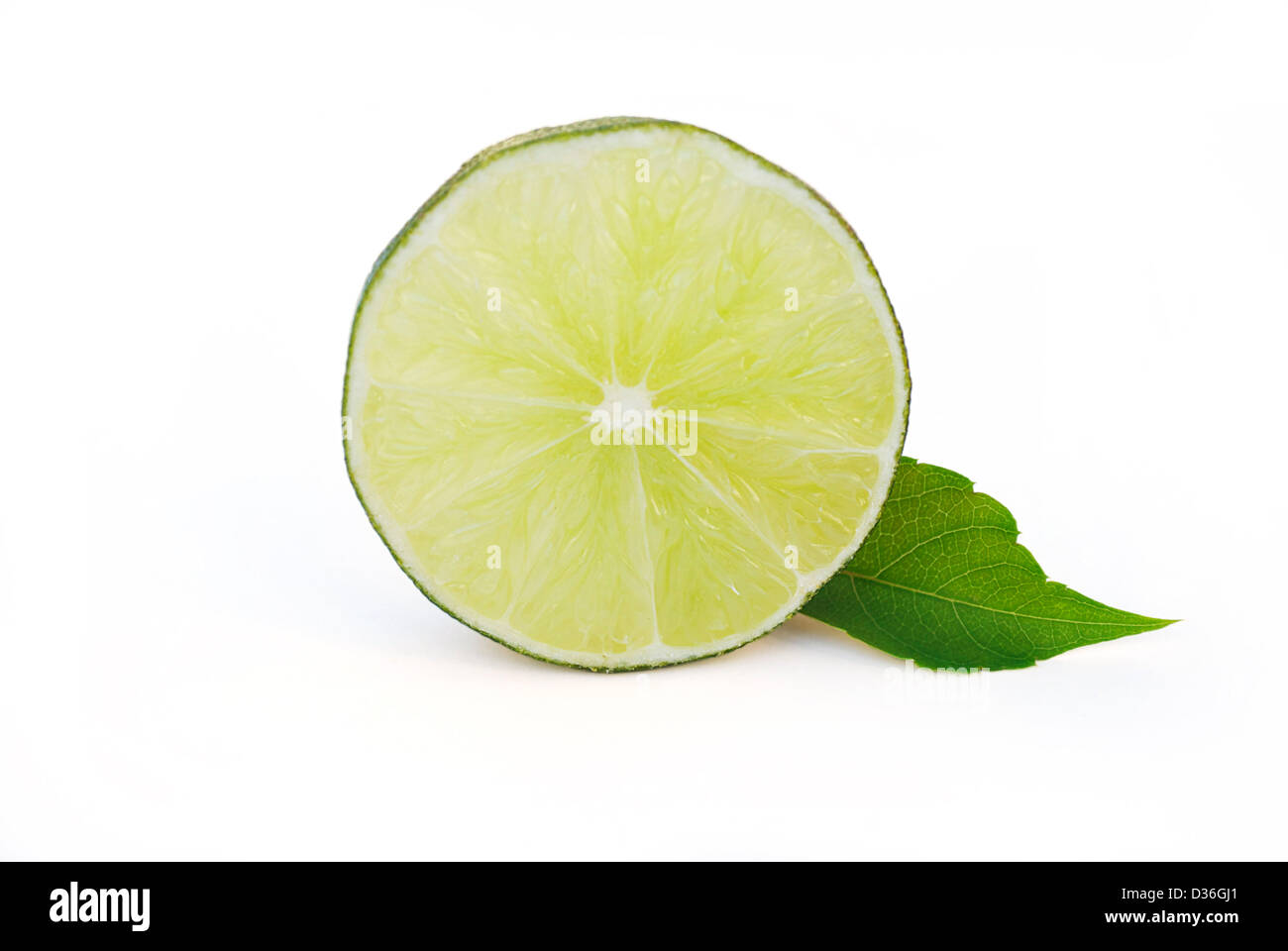 Partie de la chaux on White Banque D'Images