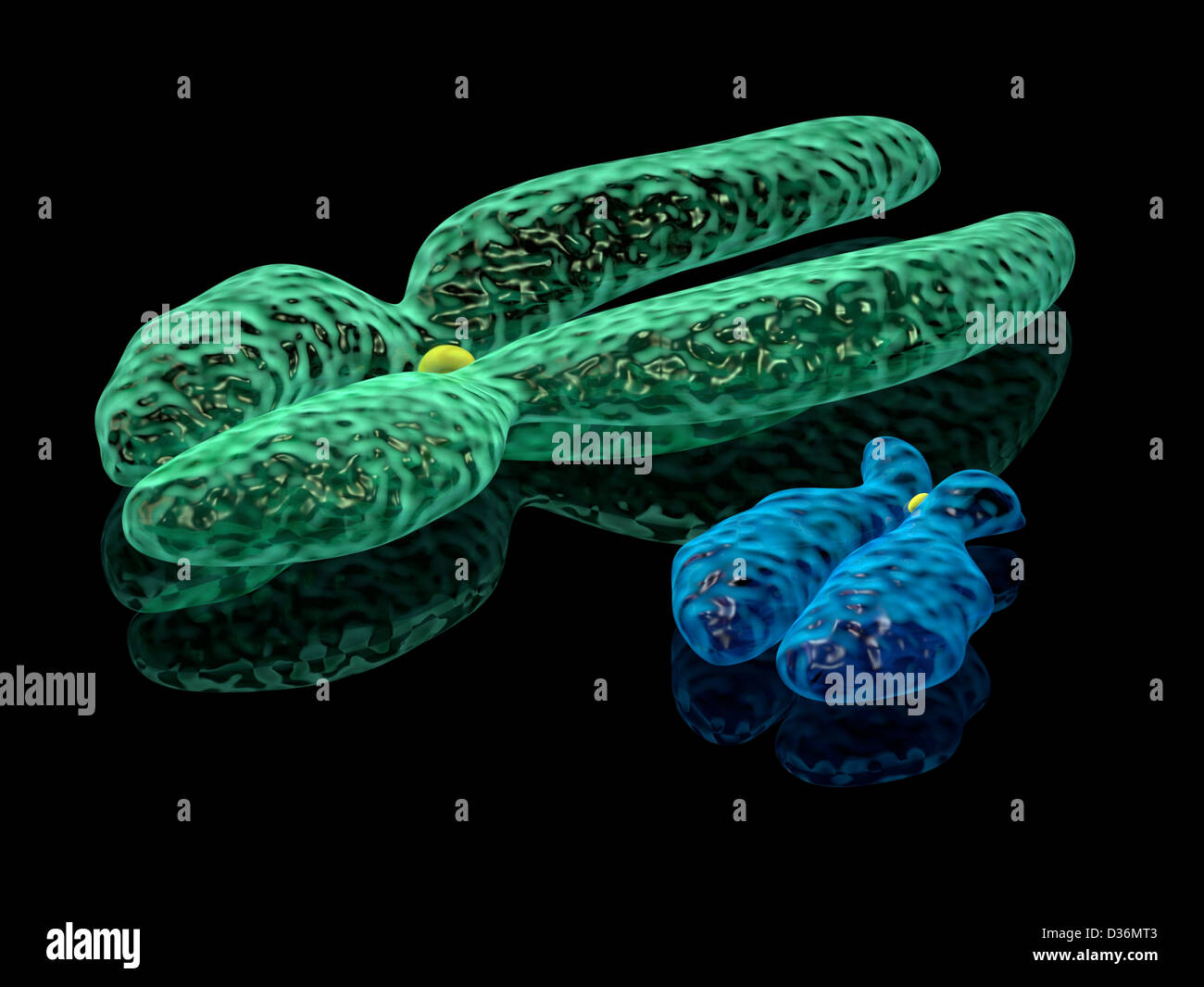 Rendu 3d illustration de chromosomes X et Y. Banque D'Images