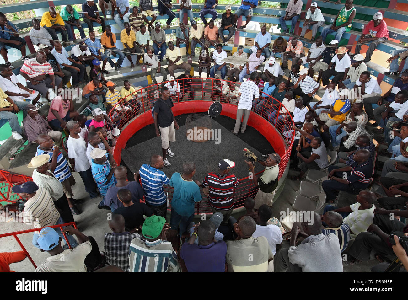 Léogâne, Haïti, dans une arène de combat de coqs Banque D'Images