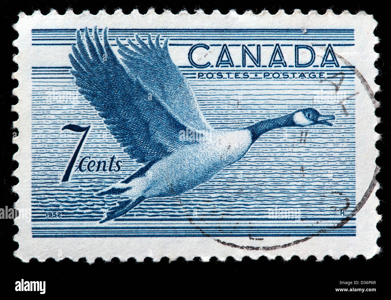 La Bernache du Canada, le timbre-poste, Canada, 1952 Banque D'Images