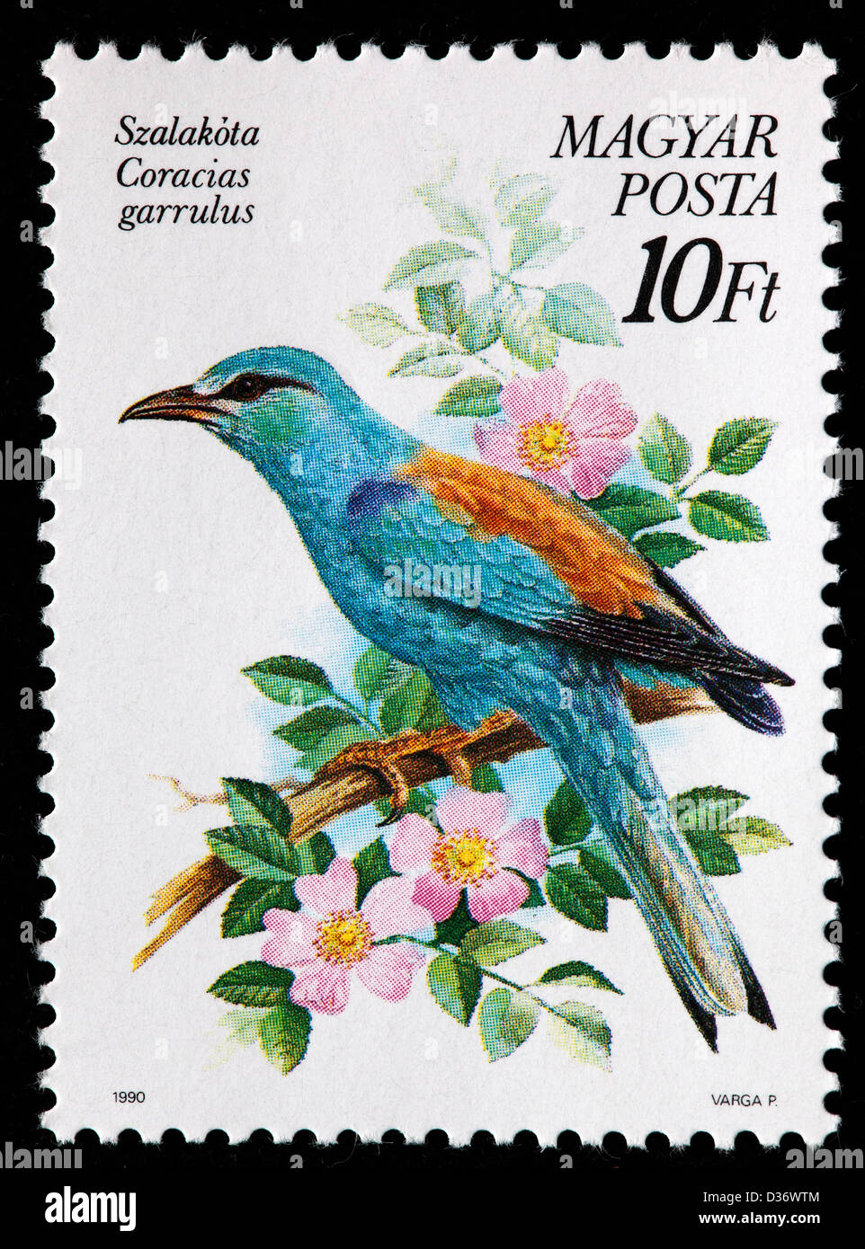 Coracias garrulus European (rouleau), timbre-poste, Hongrie, 1990 Banque D'Images