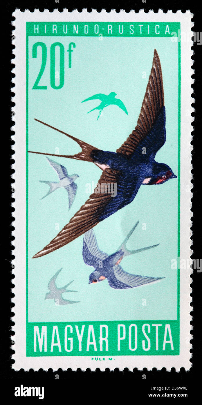L'hirondelle rustique (Hirundo rustica), timbre-poste, Hongrie, 1966 Banque D'Images