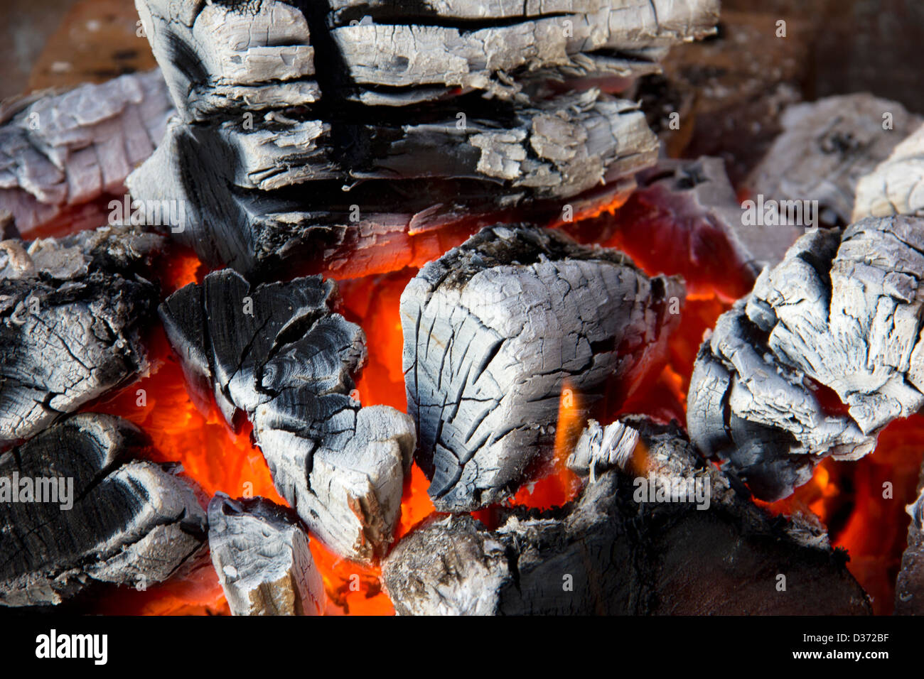 Combustion du charbon Banque D'Images