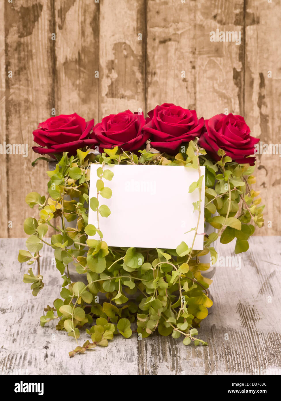 Roses avec carte Banque D'Images