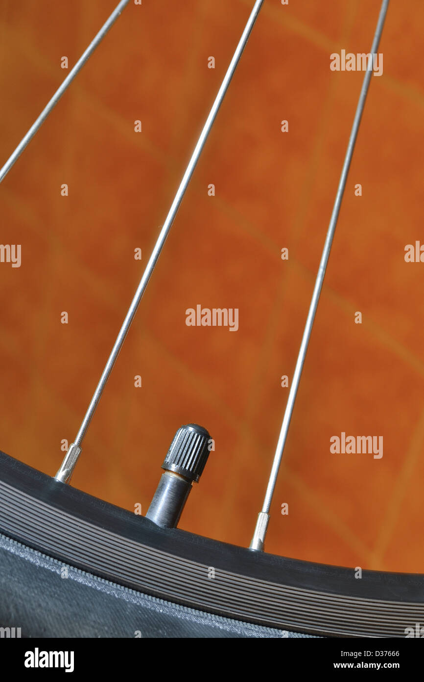 Roue de vélo avec des fragments de rayons et la jante avec mamelon Banque D'Images