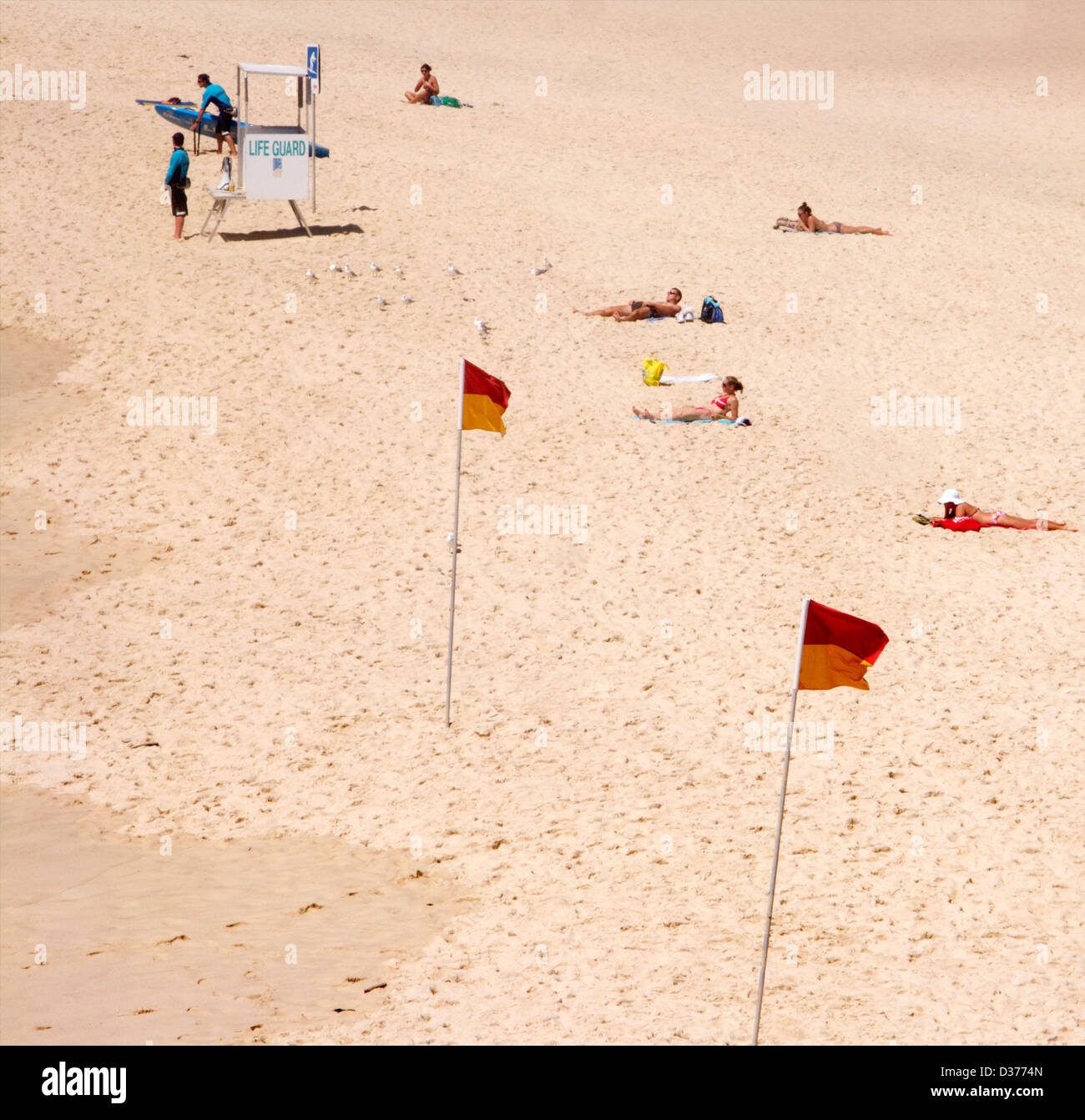 Le soleil sur la plage de Bondi, à Sydney, Australie à côté de la tour de sauvetage avec les drapeaux d'avertissement Banque D'Images
