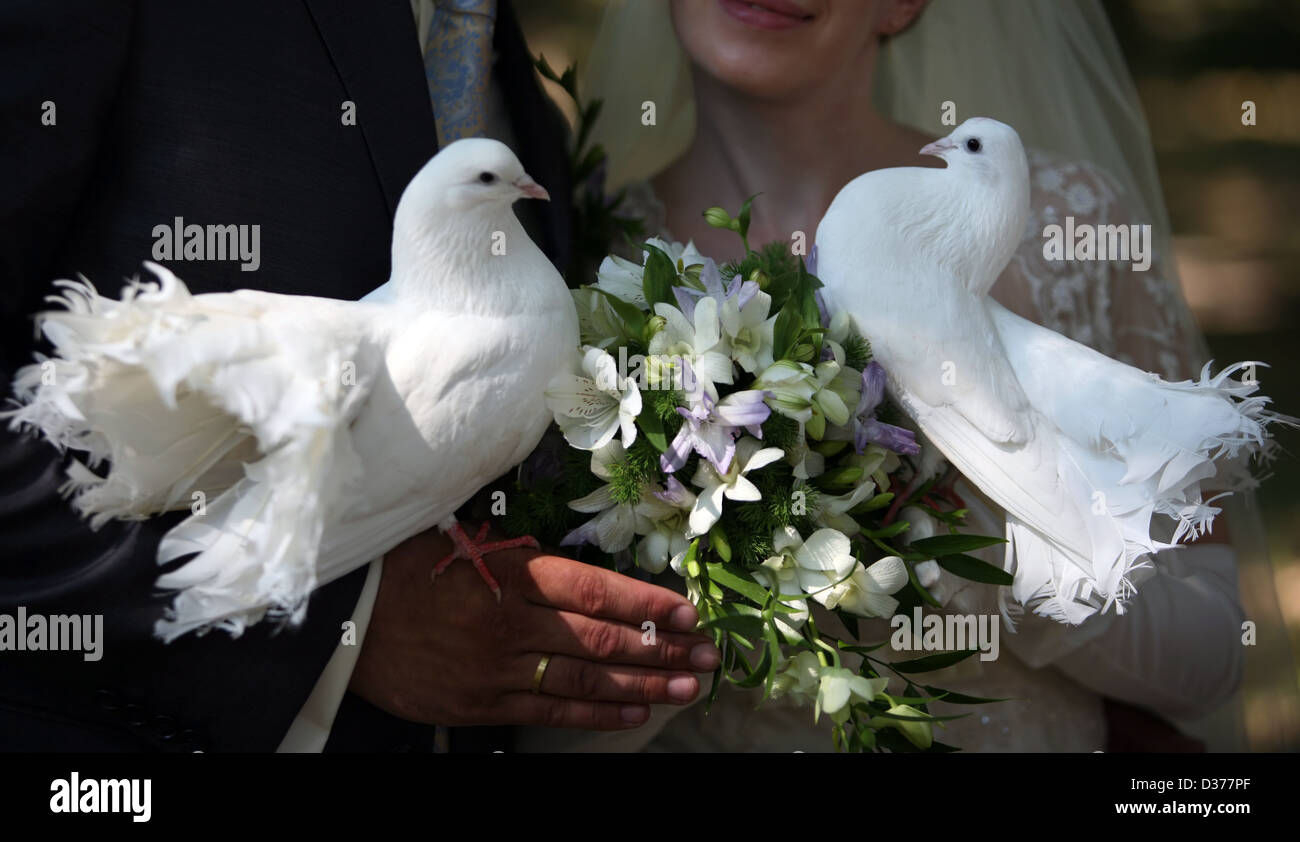 Les pigeons de mariage en mains d'un couple de jeunes mariés Banque D'Images