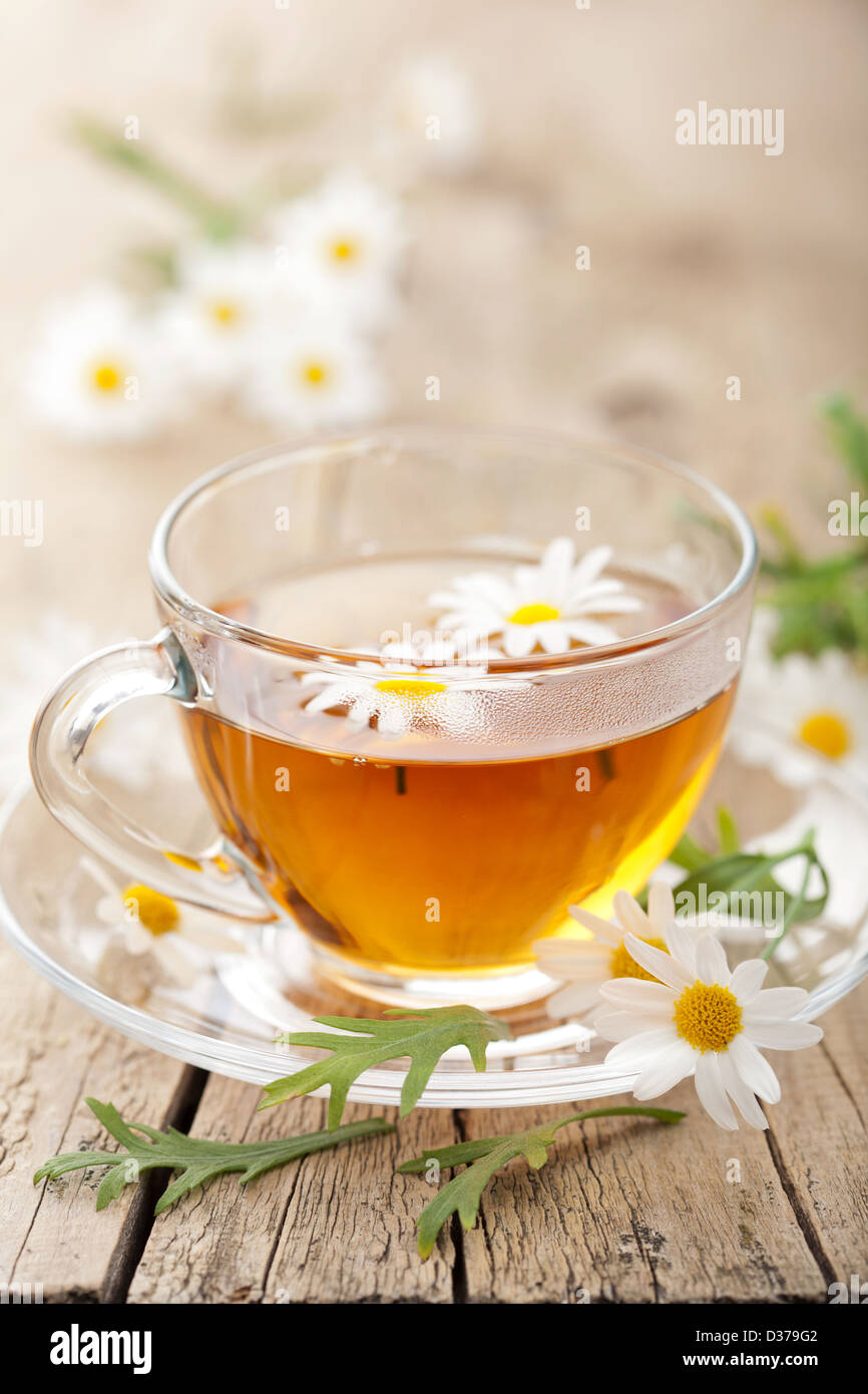 Tasse de thé de fines herbes avec fleurs de camomille Banque D'Images