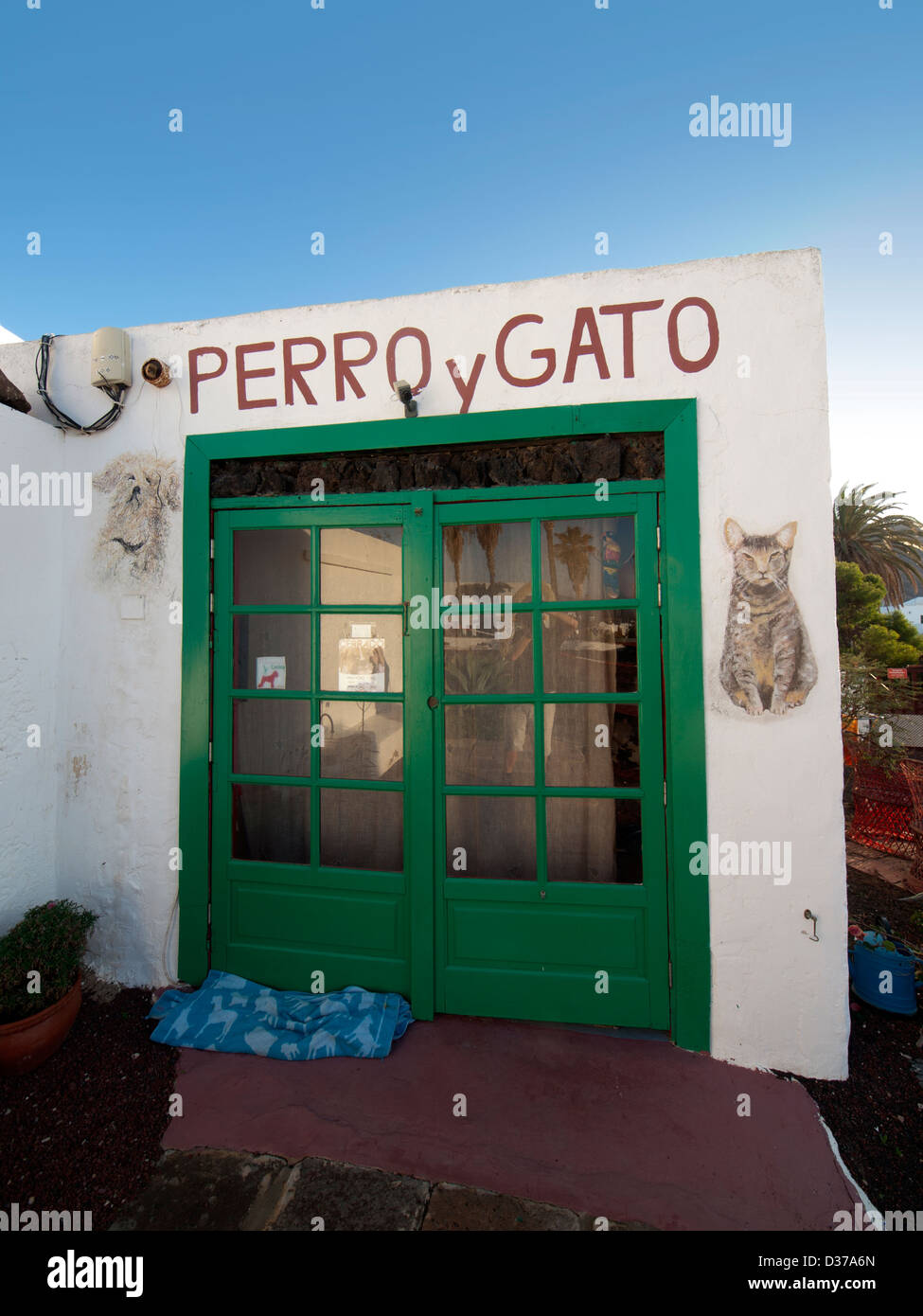 Un refuge pour chiens et chats errants en Yaiza, Lanzarote. Banque D'Images