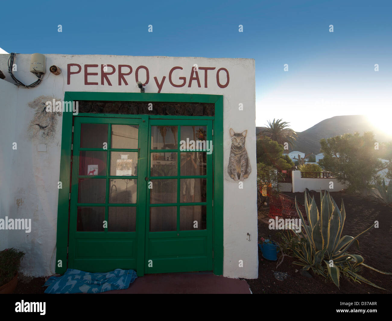 Un refuge pour chiens et chats errants en Yaiza, Lanzarote. Banque D'Images