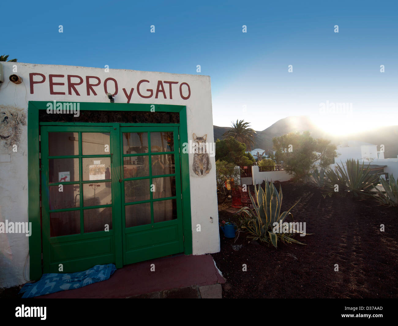 Un refuge pour chiens et chats errants en Yaiza, Lanzarote. Banque D'Images